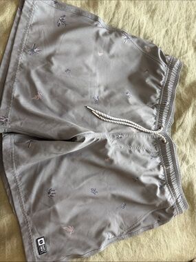Men’s Salty Crew Shorts